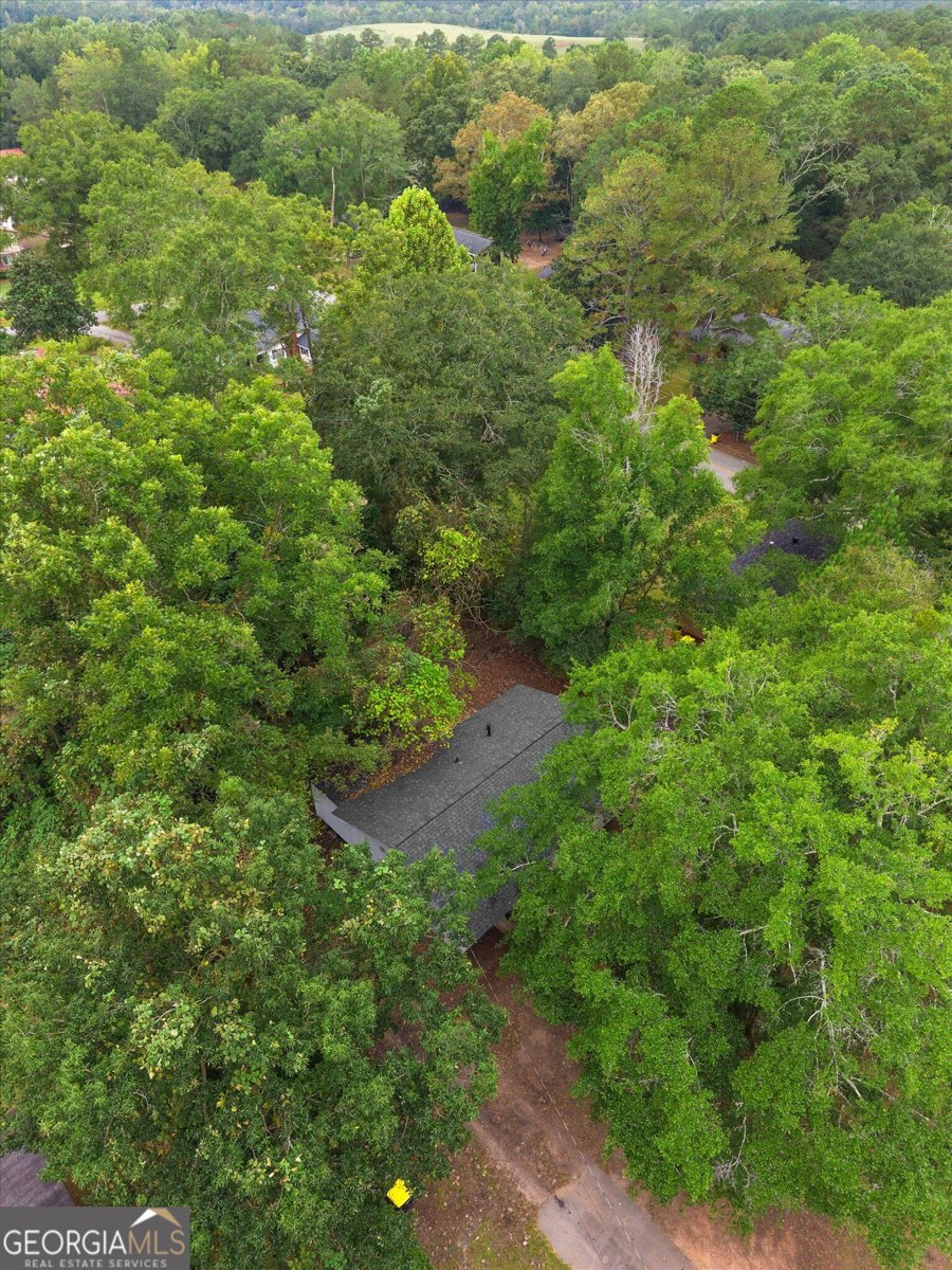 11 Dew Place Forsyth - Photo 39