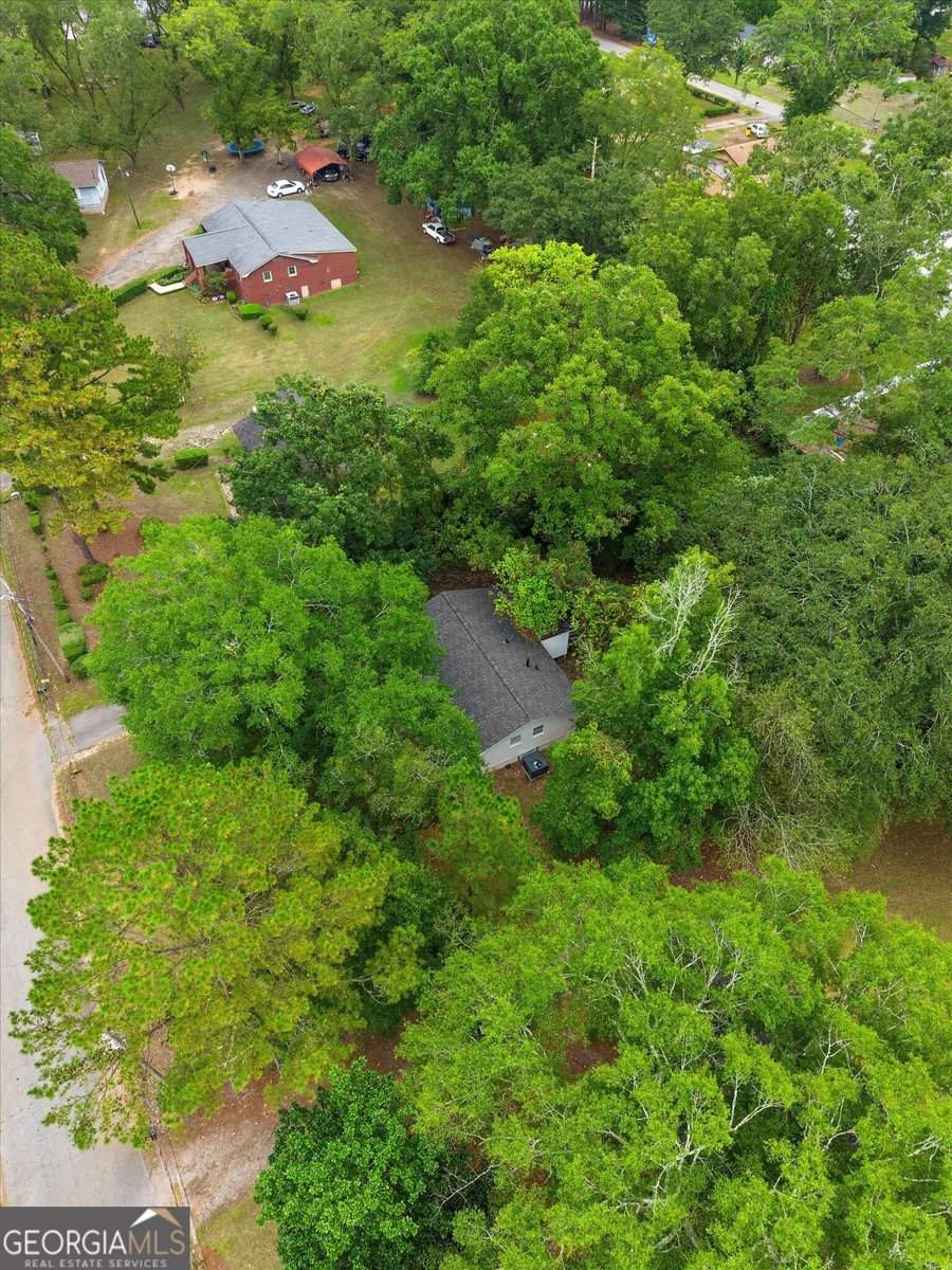 11 Dew Place Forsyth - Photo 40