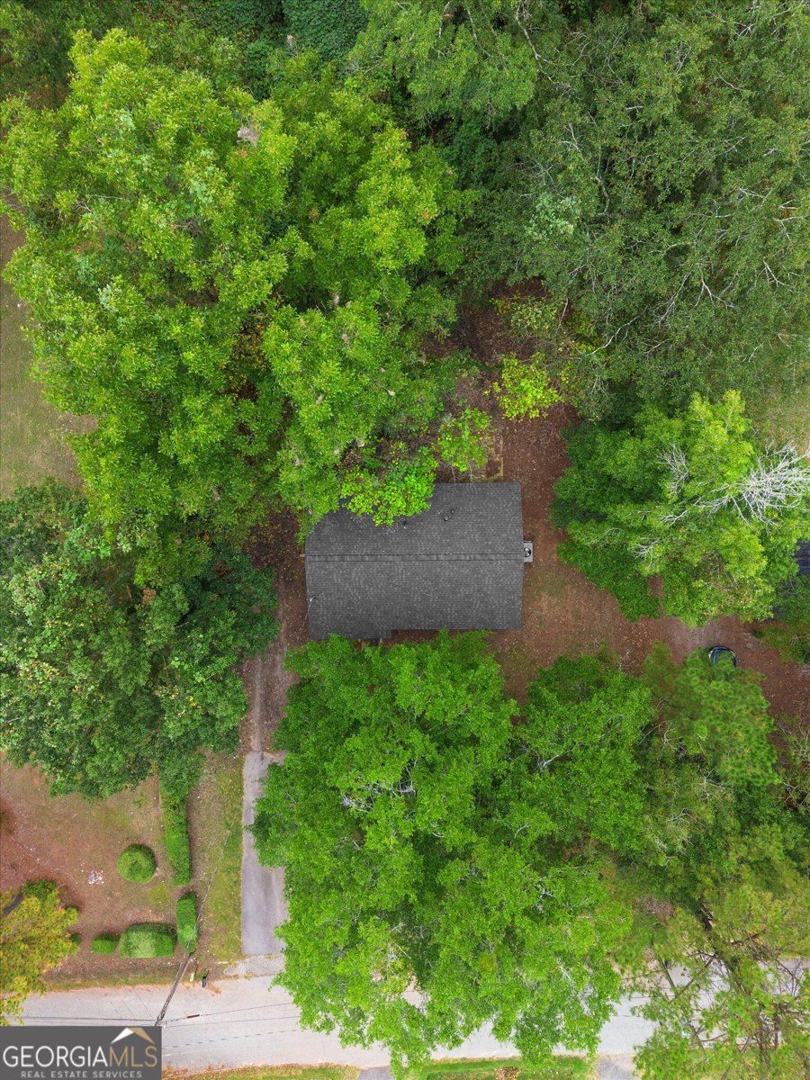 11 Dew Place Forsyth - Photo 41