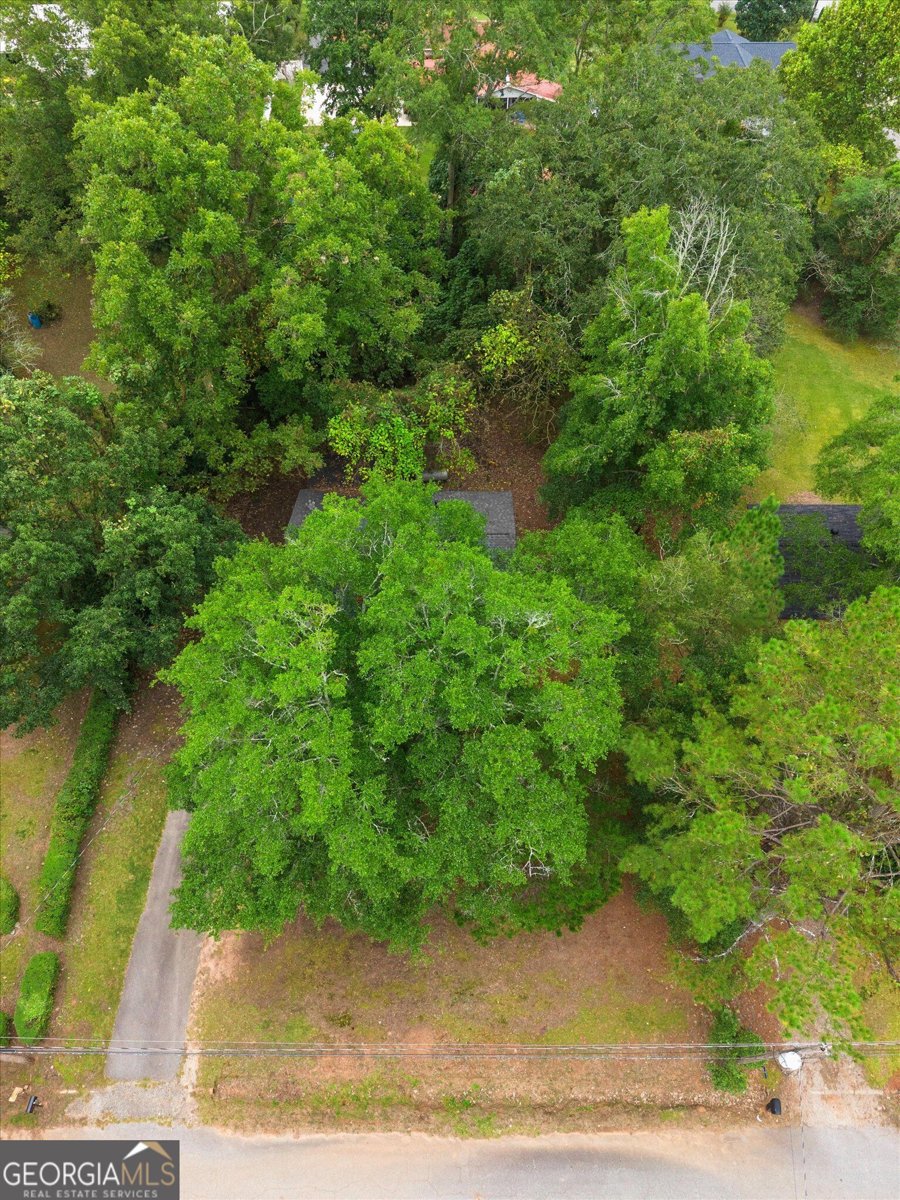 11 Dew Place Forsyth - Photo 44