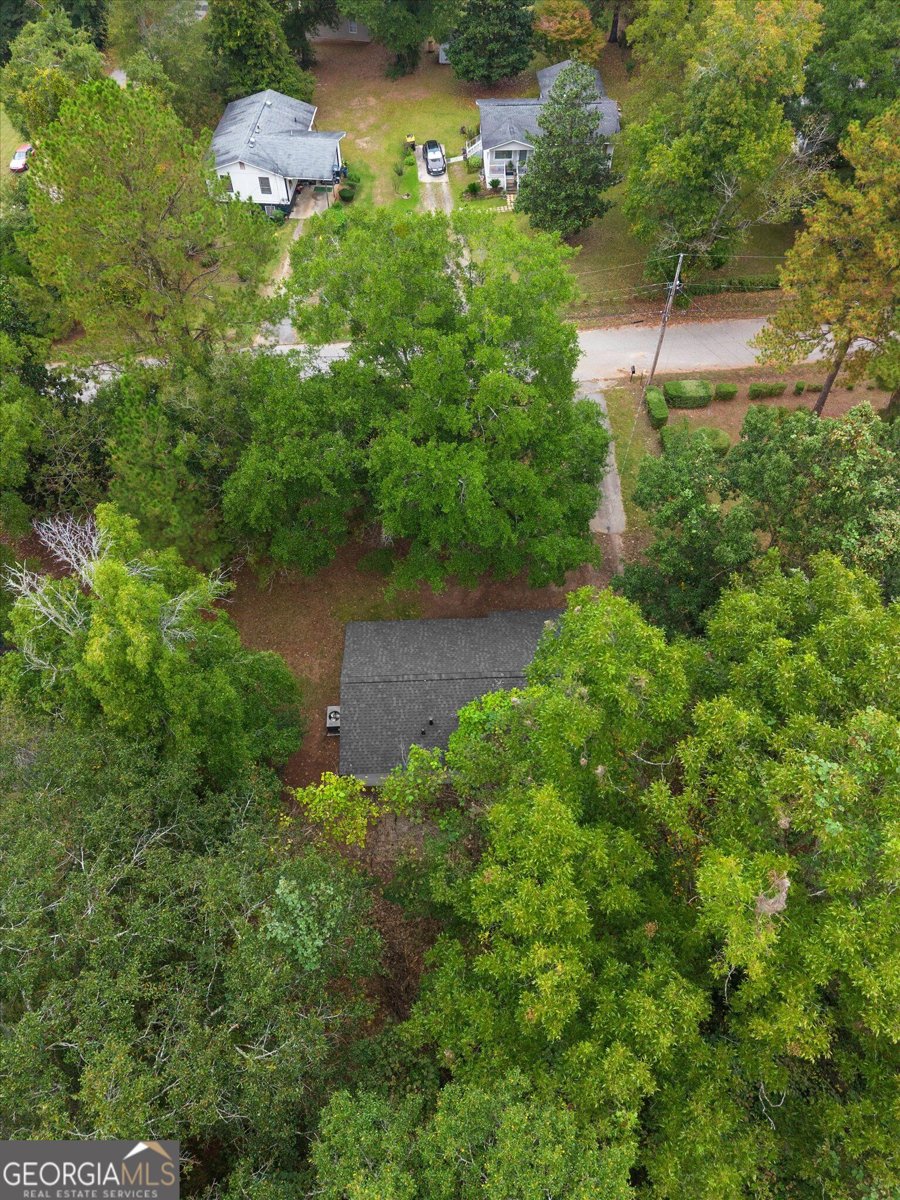 11 Dew Place Forsyth - Photo 46