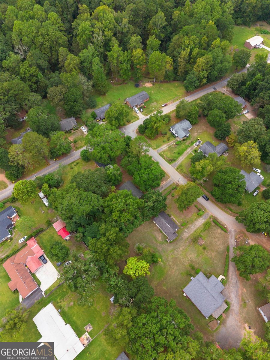 11 Dew Place Forsyth - Photo 47