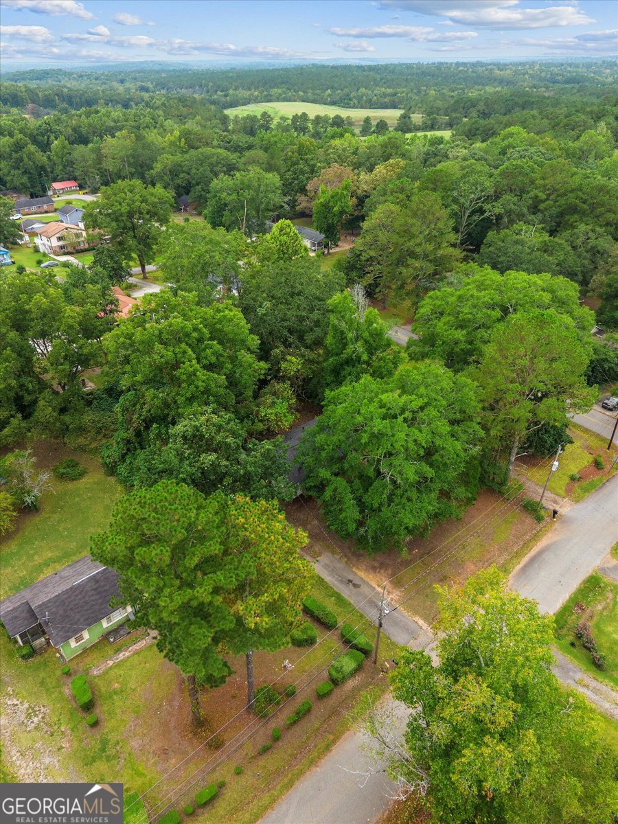 11 Dew Place Forsyth - Photo 49