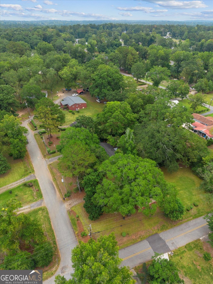 11 Dew Place Forsyth - Photo 50