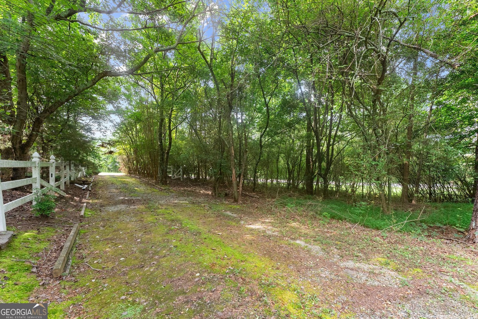 6140 Henry Smith Road Murrayville - Photo 22