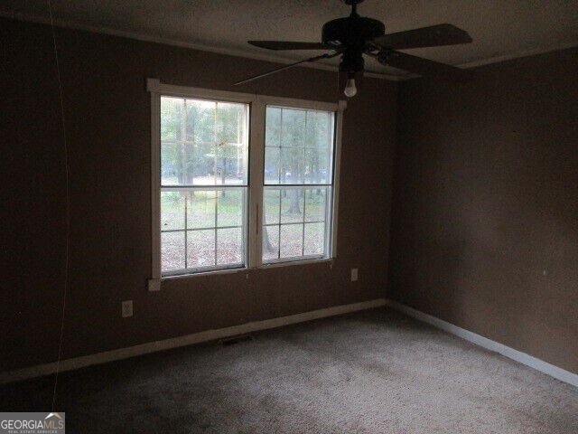 205 Ruby Road Jackson - Photo 11