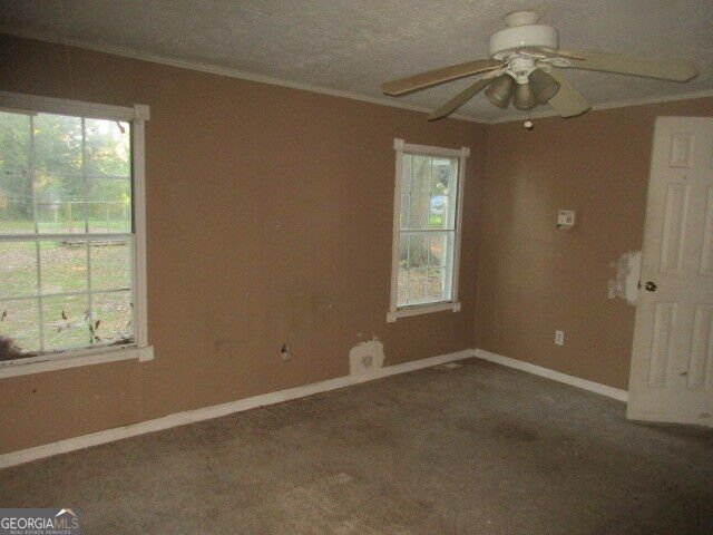 205 Ruby Road Jackson - Photo 6