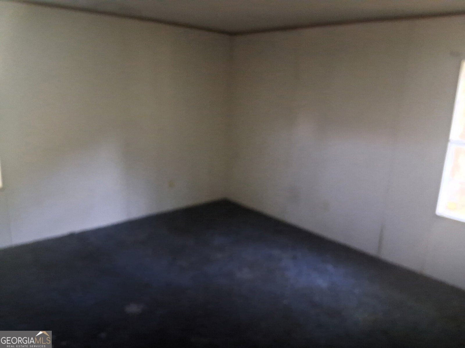 227 Hanover Drive Byron - Photo 12