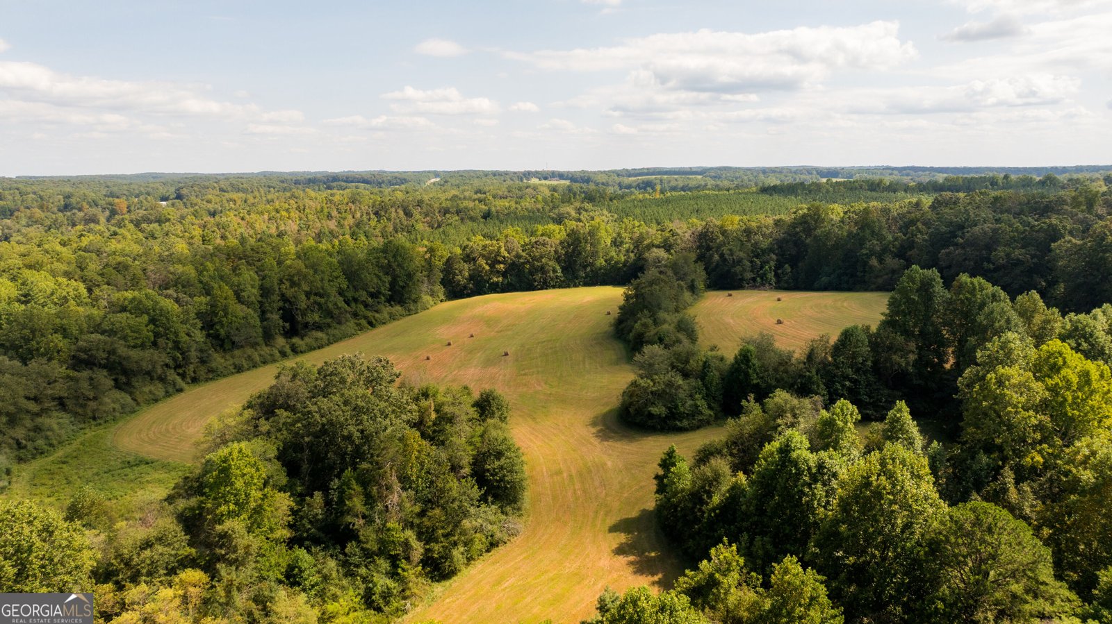958 Suttles Road Mount Airy - Photo 64