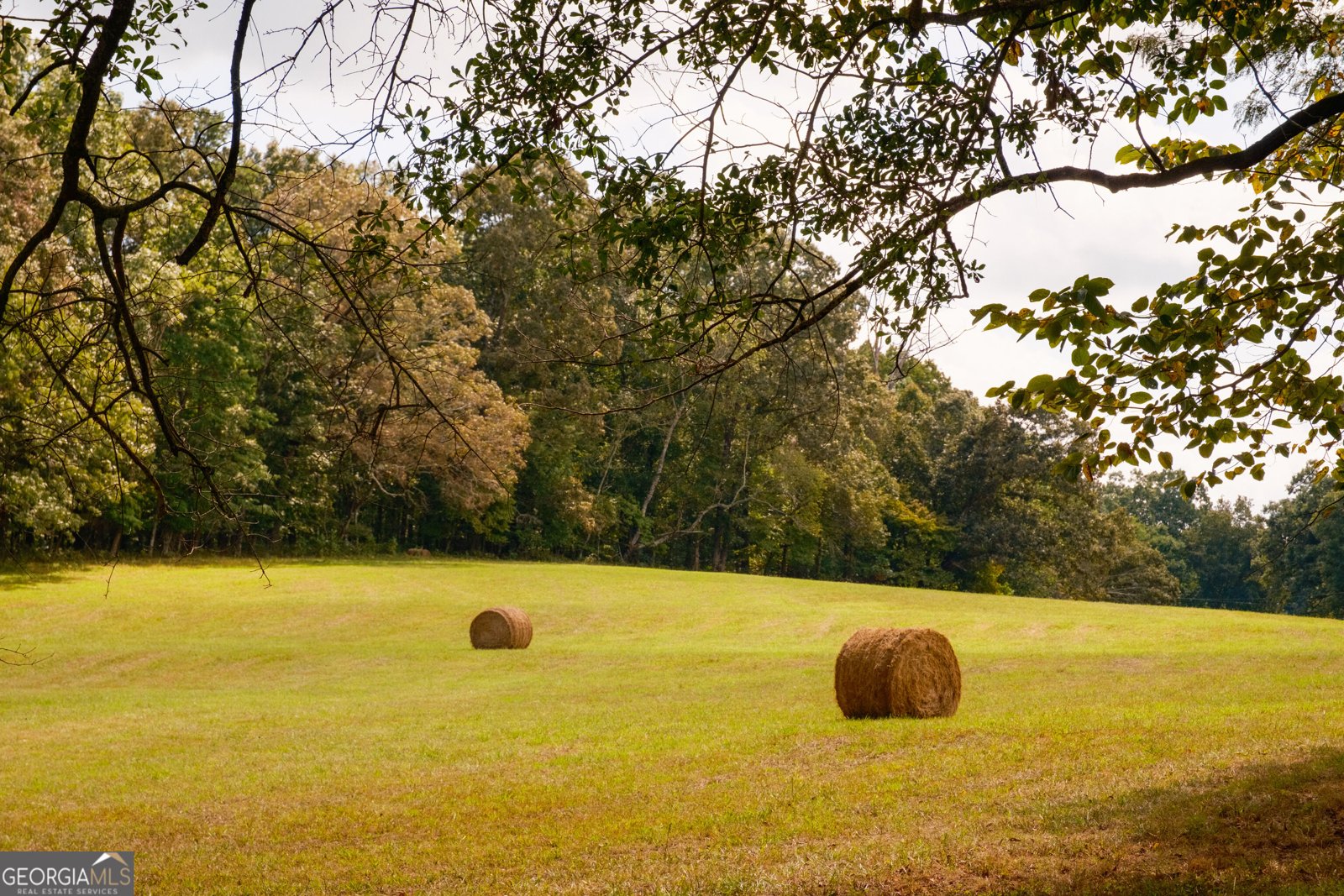 958 Suttles Road Mount Airy - Photo 76