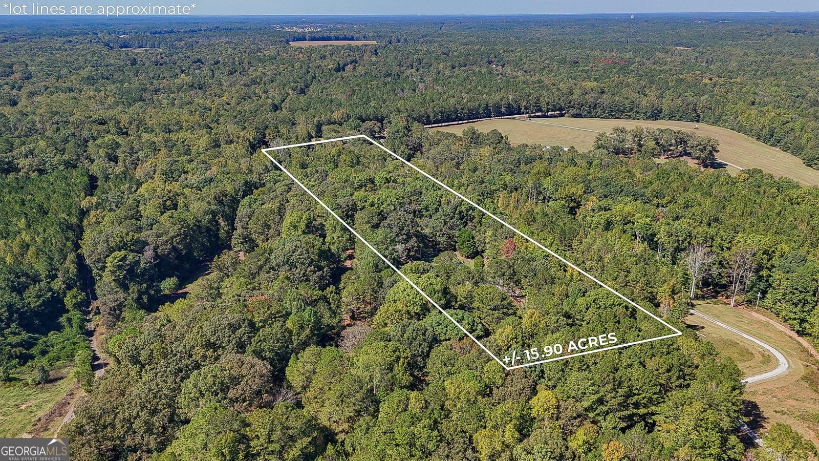 1735 Highway 85 Senoia - Photo 6