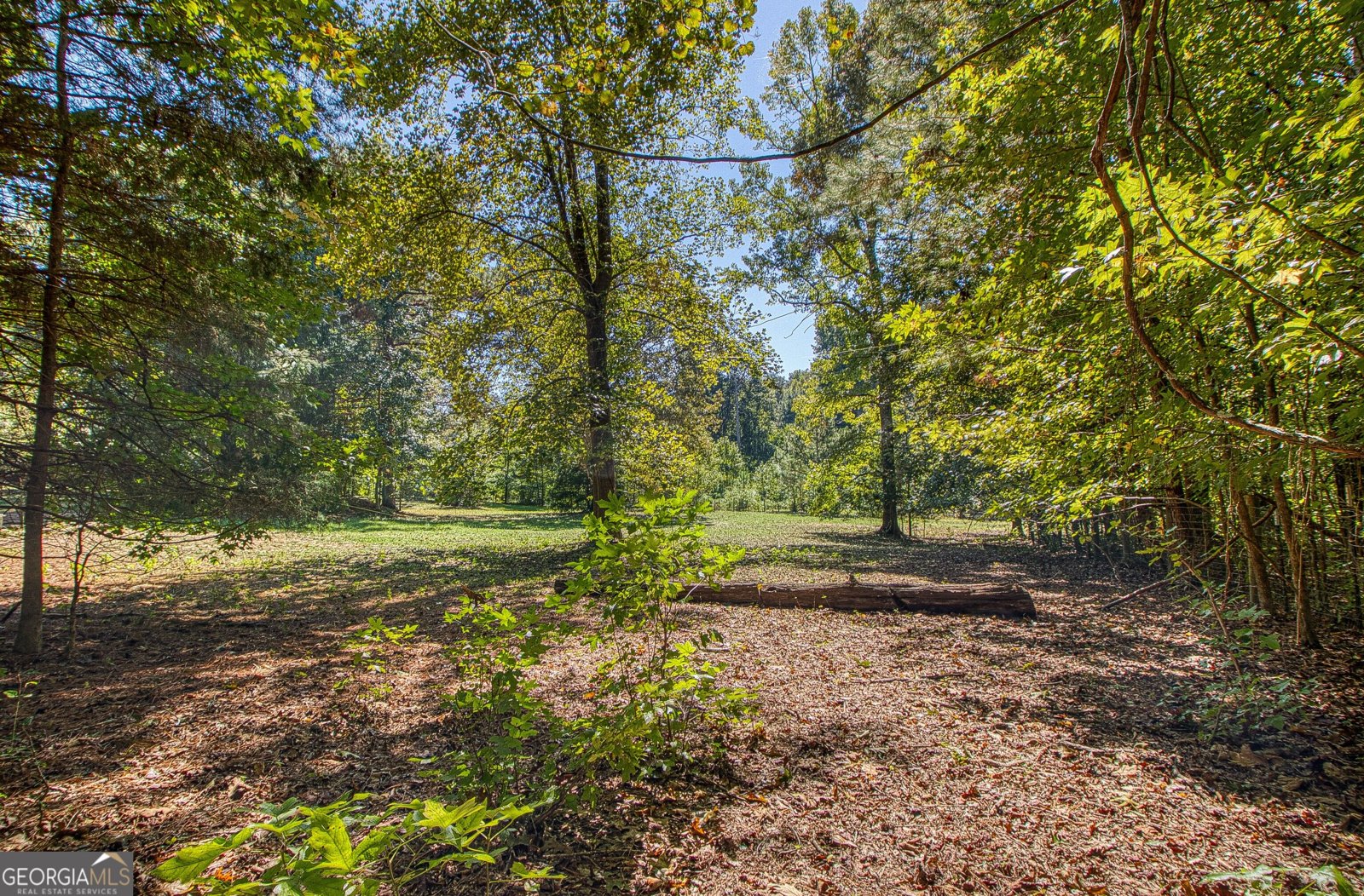 1735 Highway 85 Senoia - Photo 69
