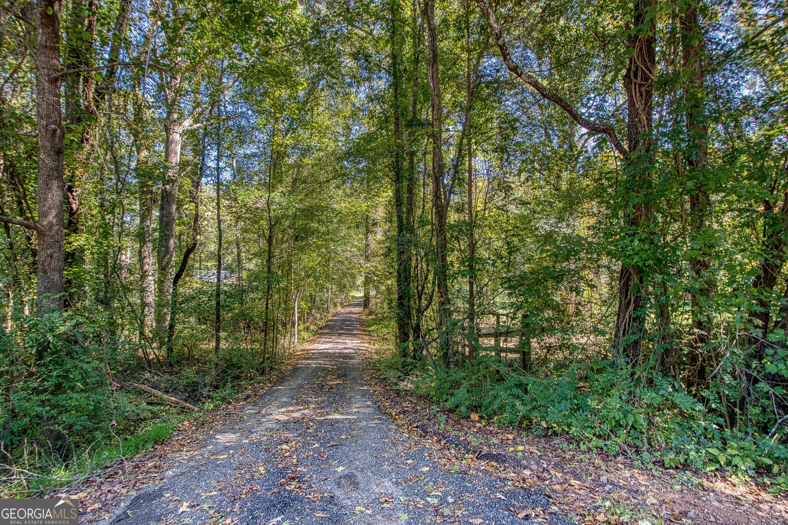 1735 Highway 85 Senoia - Photo 7