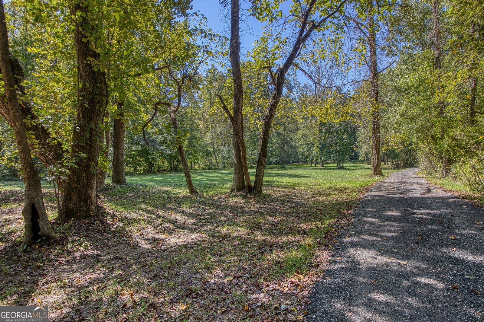 1735 Highway 85 Senoia - Photo 8
