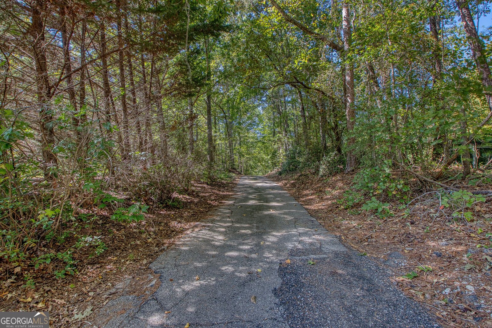 1735 Highway 85 Senoia - Photo 9