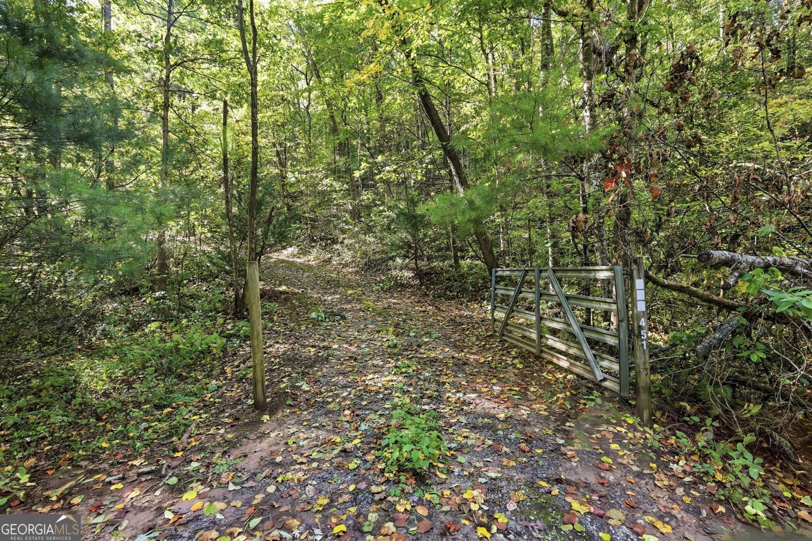 451 Watkins Field Road Clayton - Photo 30
