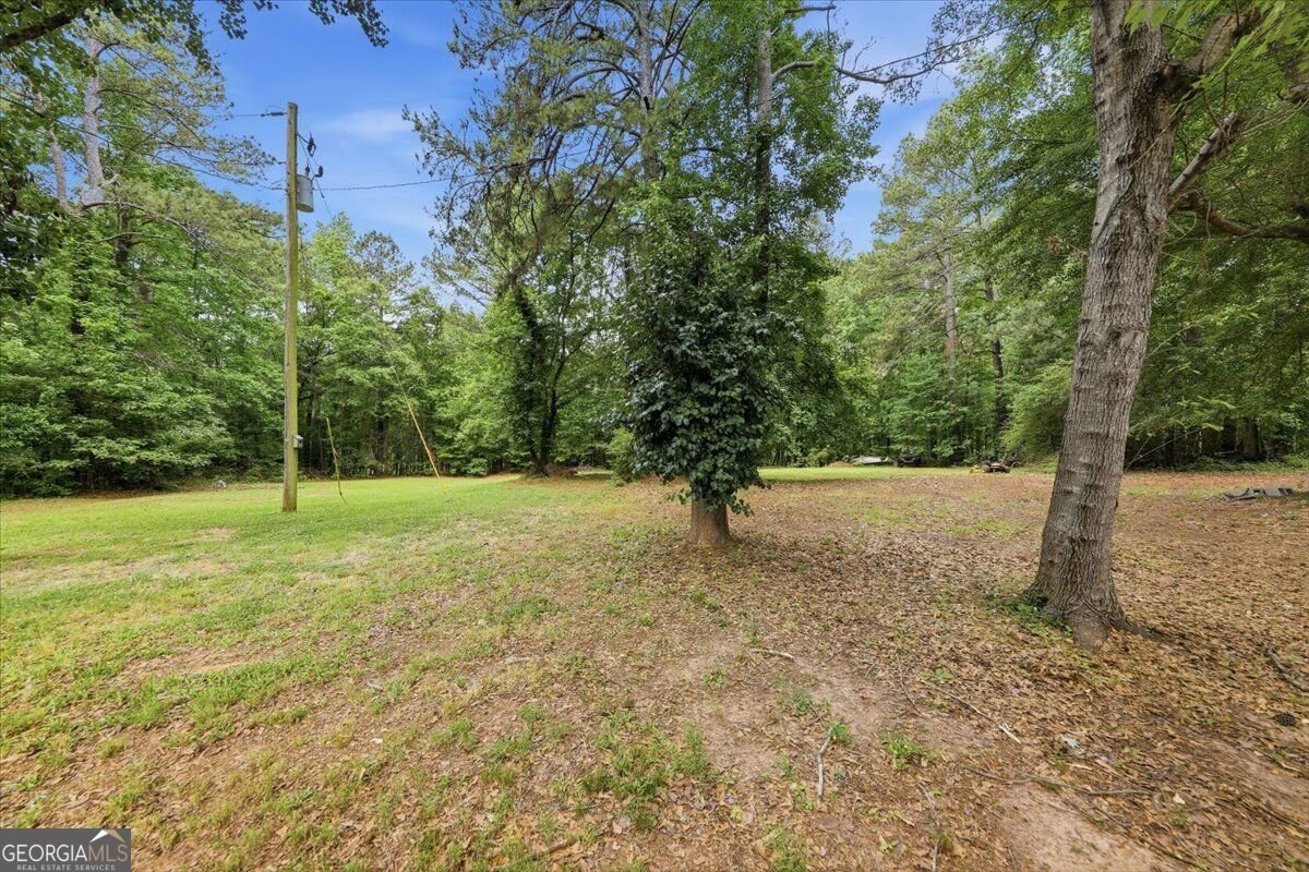 1009 Highway 85 Fayetteville - Photo 51