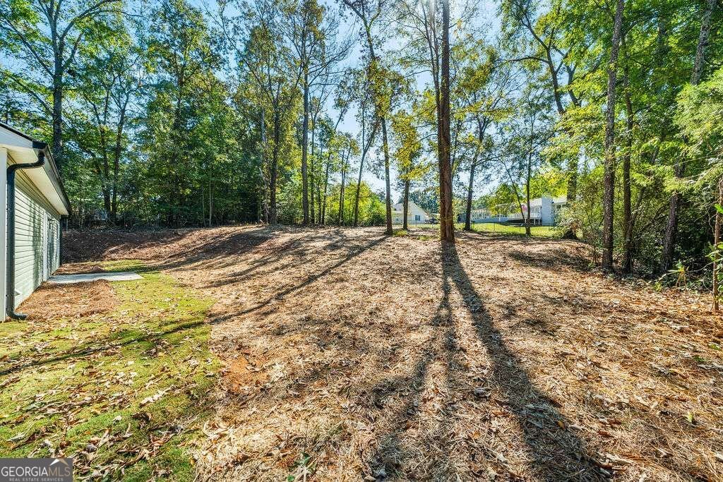 652 Harris Circle Cedartown - Photo 31