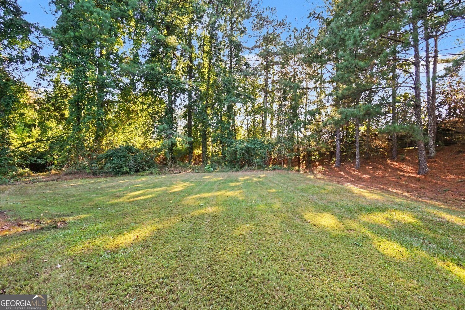 185 Sunset Lane Woodstock - Photo 28