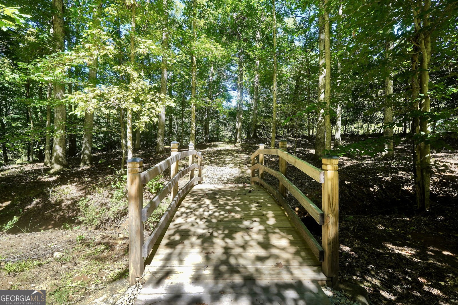 120 Big Cotton Trail McDonough - Photo 121
