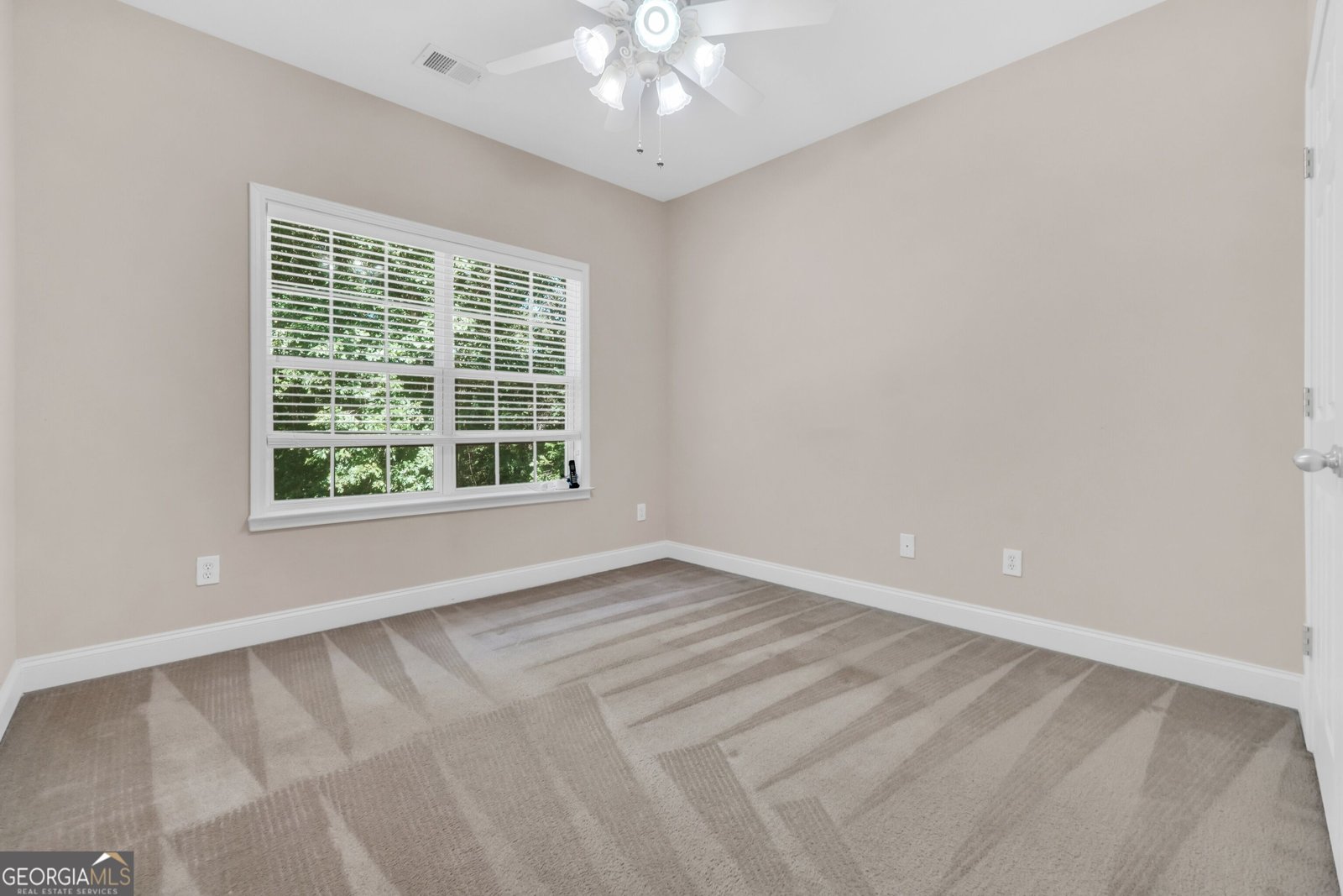 120 Big Cotton Trail McDonough - Photo 62