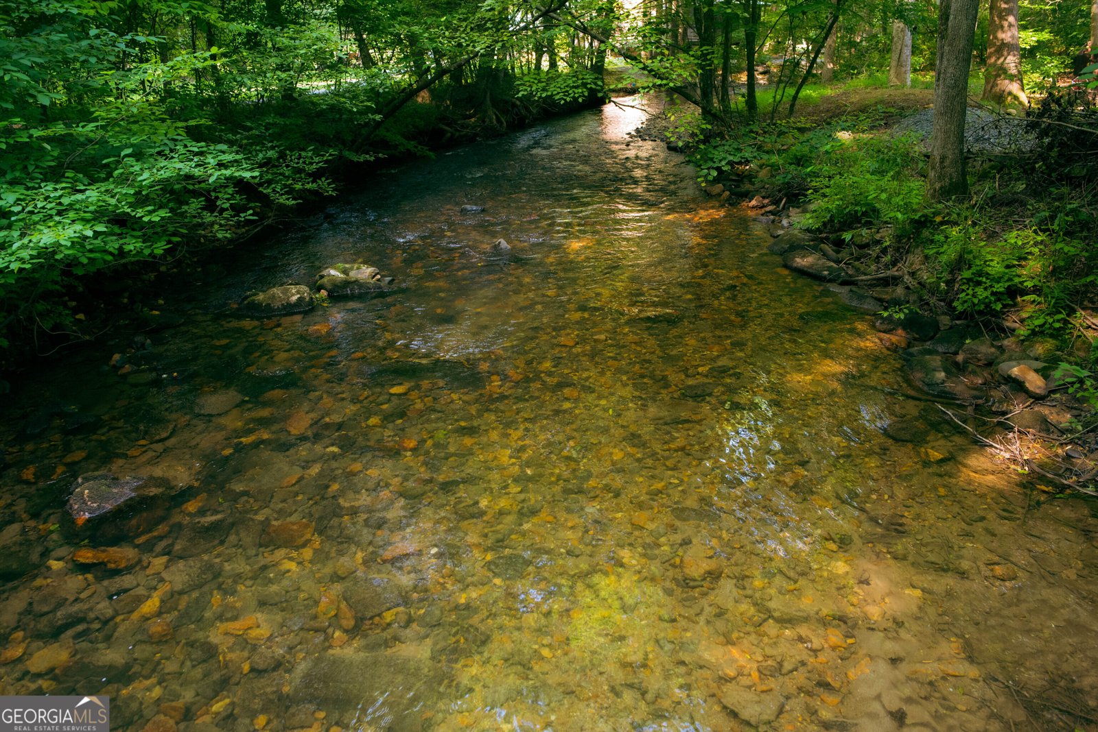 184 Rockhouse Road Cherry Log - Photo 27