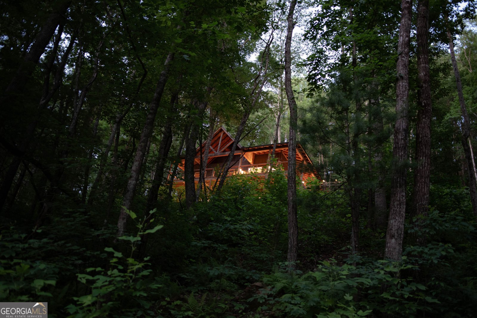 184 Rockhouse Road Cherry Log - Photo 30