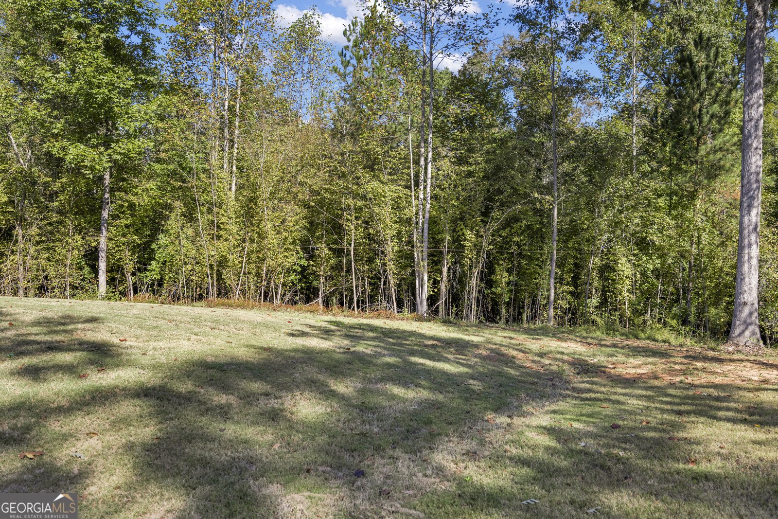 29 Rylan Court Mansfield - Photo 37