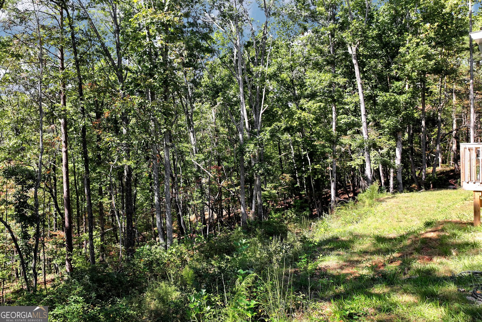 215 Mountain View Road Dawsonville - Photo 45