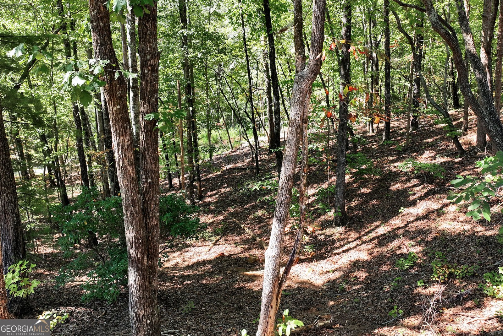 215 Mountain View Road Dawsonville - Photo 46