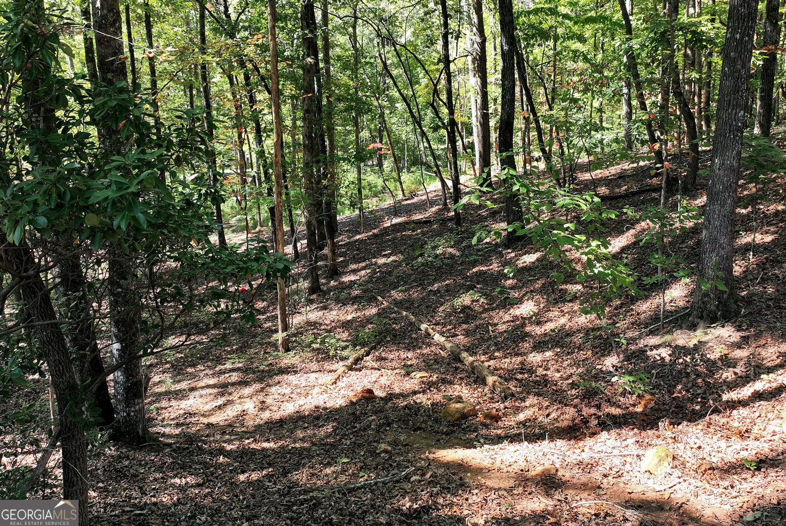 215 Mountain View Road Dawsonville - Photo 47