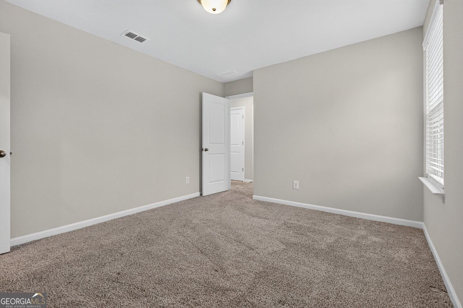 5911 Green Ash Court Braselton - Photo 41