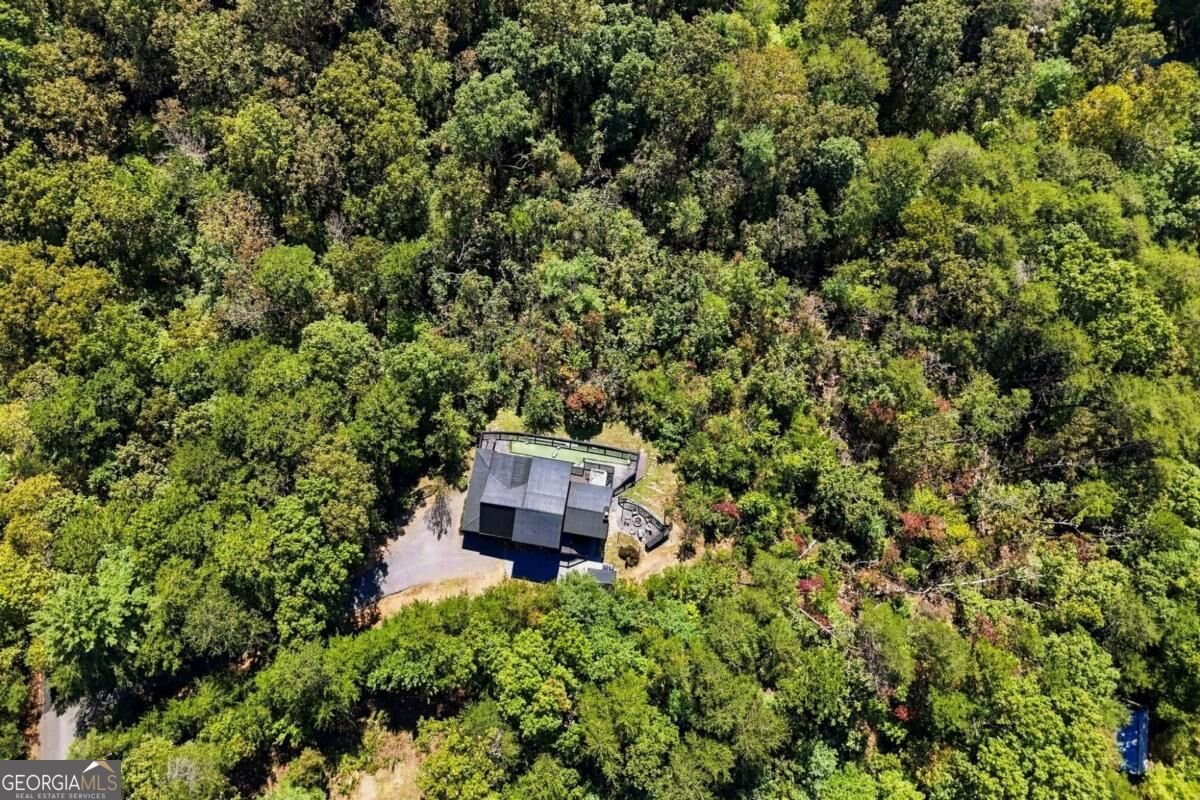 221 Foxfire Road Blue Ridge - Photo 54
