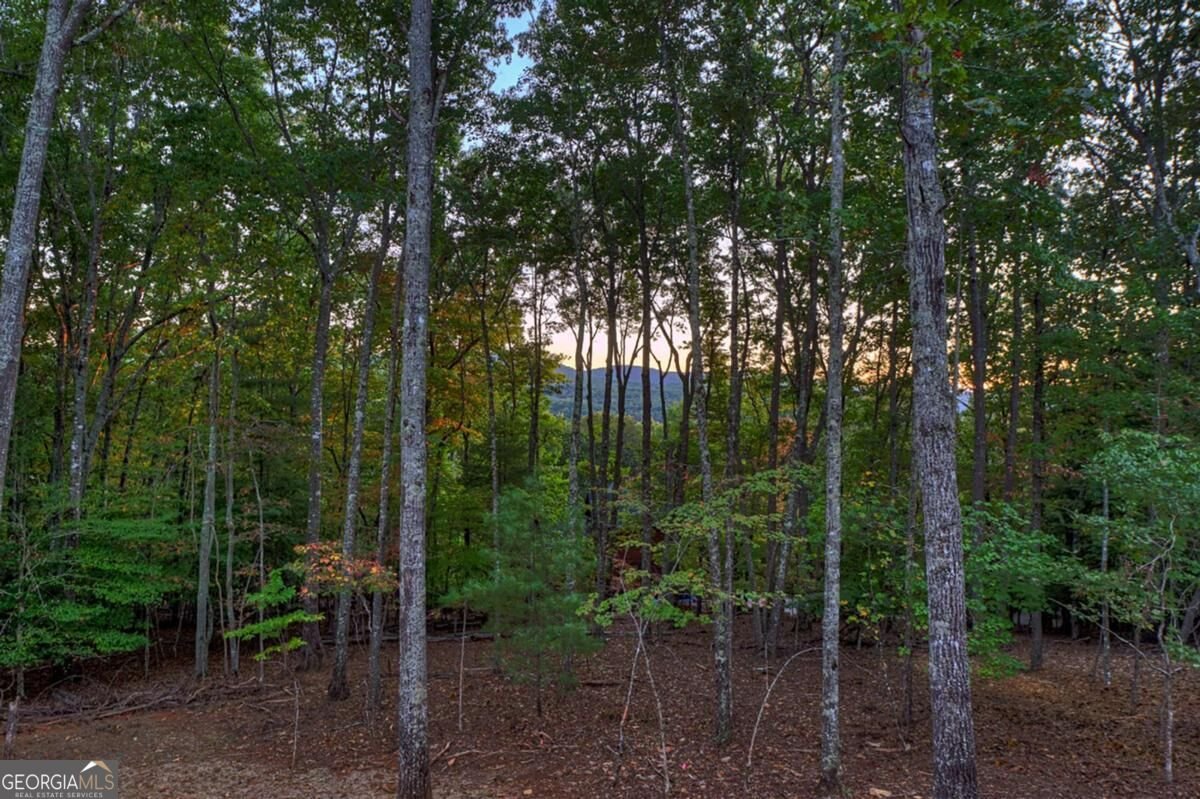 357 Spring Ridge Trail Morganton - Photo 44