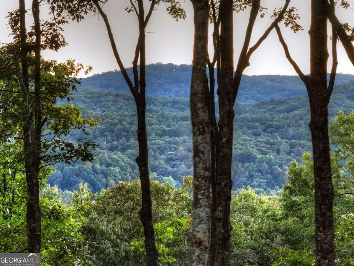 357 Spring Ridge Trail Morganton - Photo 72