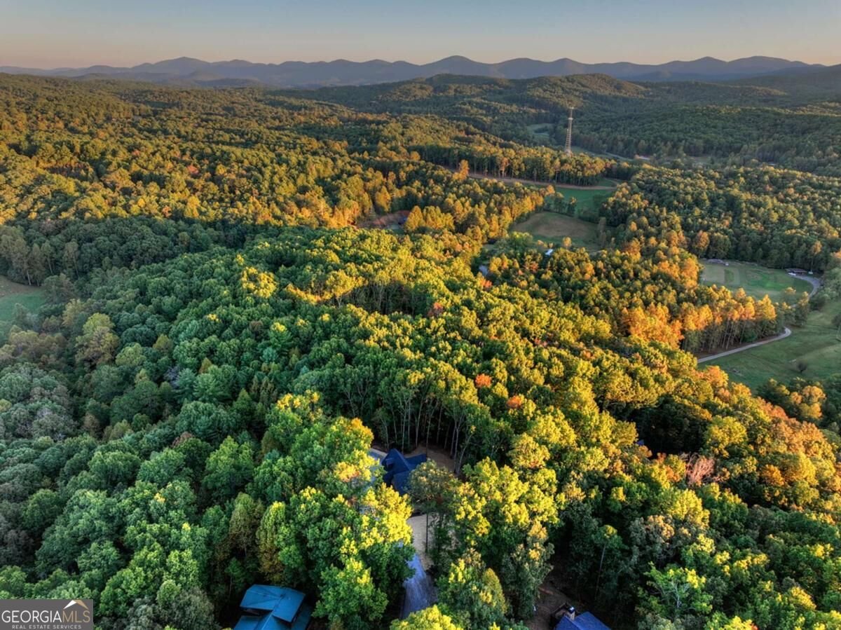 357 Spring Ridge Trail Morganton - Photo 73