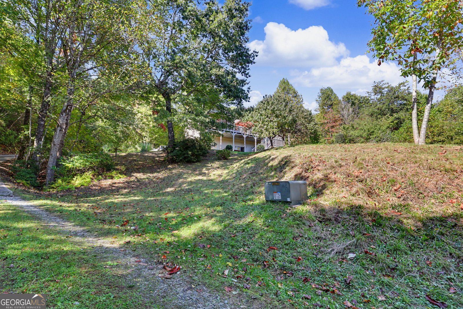 49 Vine Hill Lane Clayton - Photo 43
