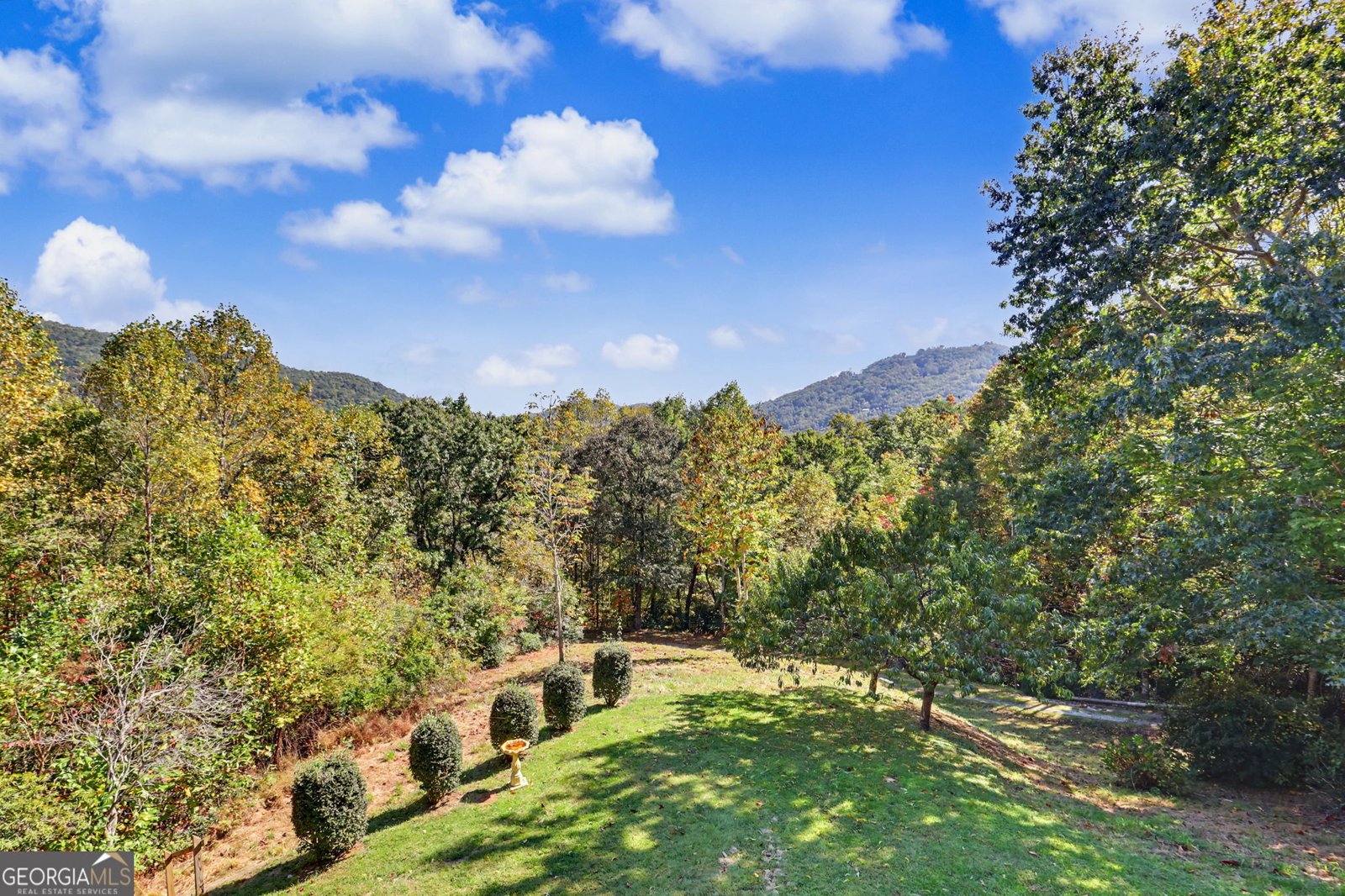49 Vine Hill Lane Clayton - Photo 49