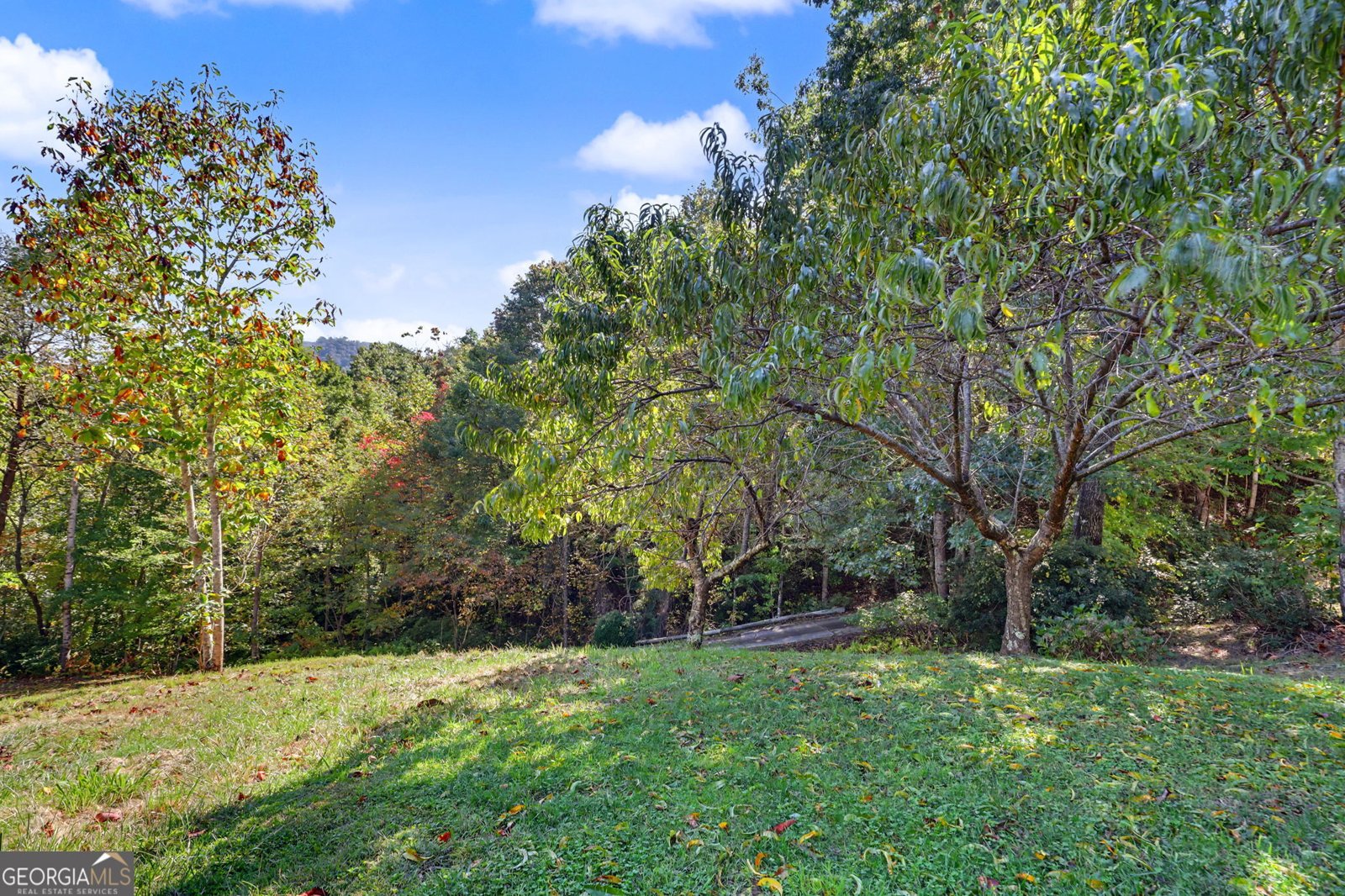 49 Vine Hill Lane Clayton - Photo 64