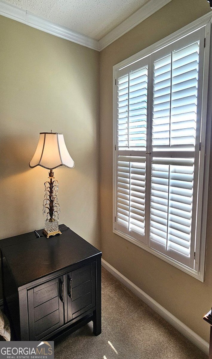 1016 Maria Drive McDonough - Photo 24