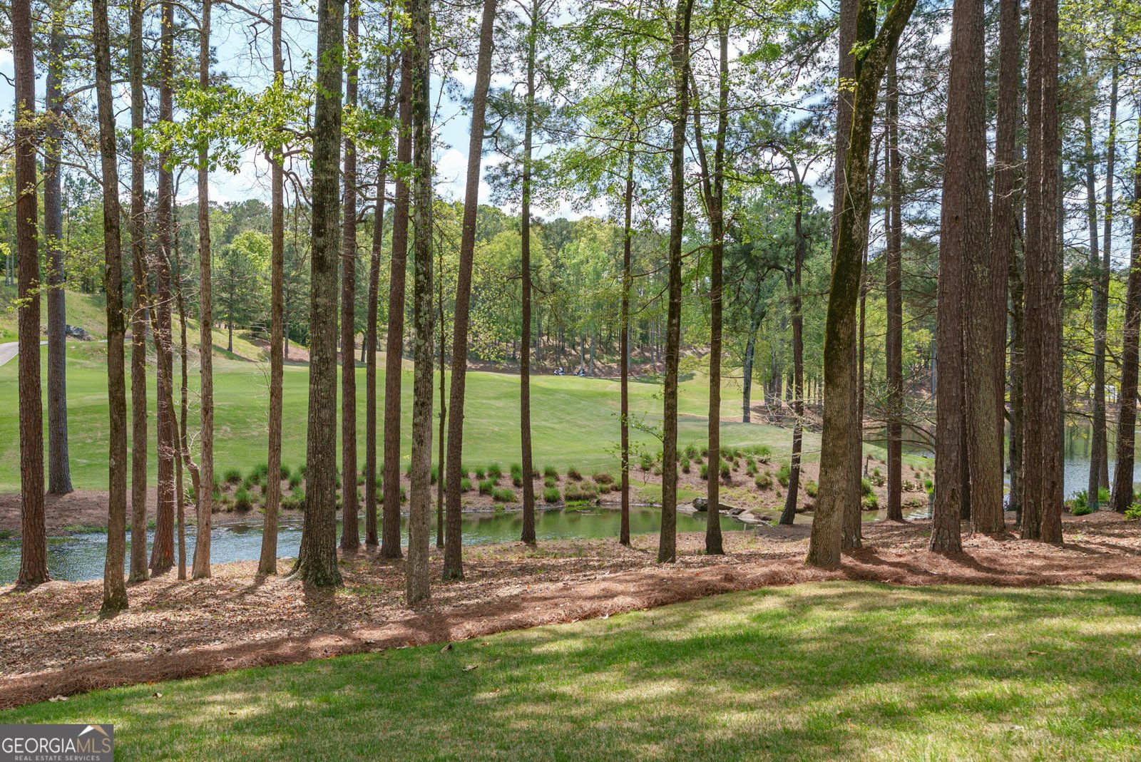 1080 Quail Ridge Way Greensboro - Photo 57