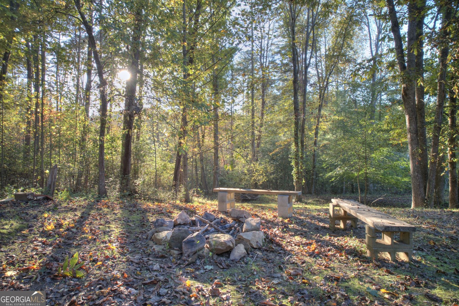34 Birch Cove Road Blairsville - Photo 41
