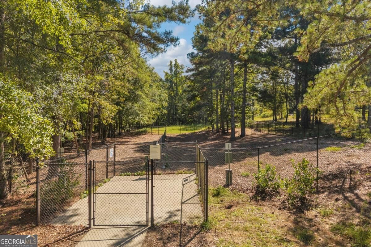 296 Ontario Lane Hoschton - Photo 59