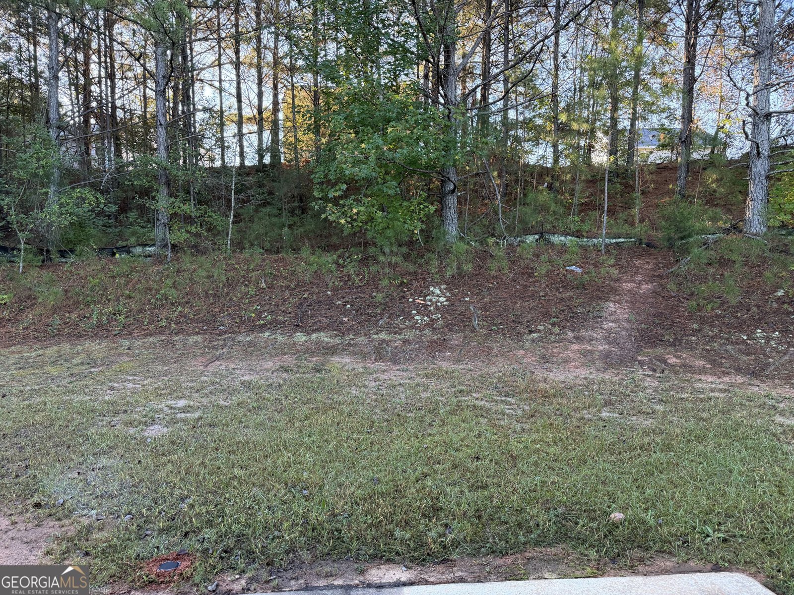 1770 Park Court Griffin - Photo 17