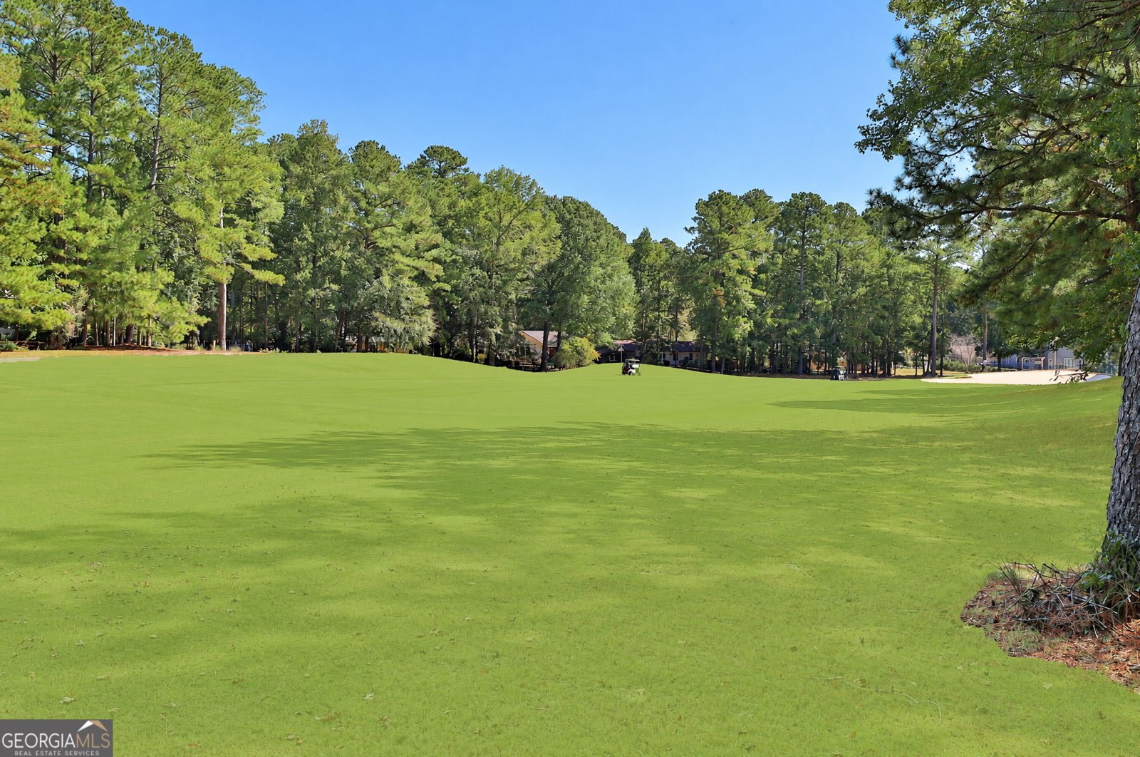 422 Hampton Green Peachtree City - Photo 45