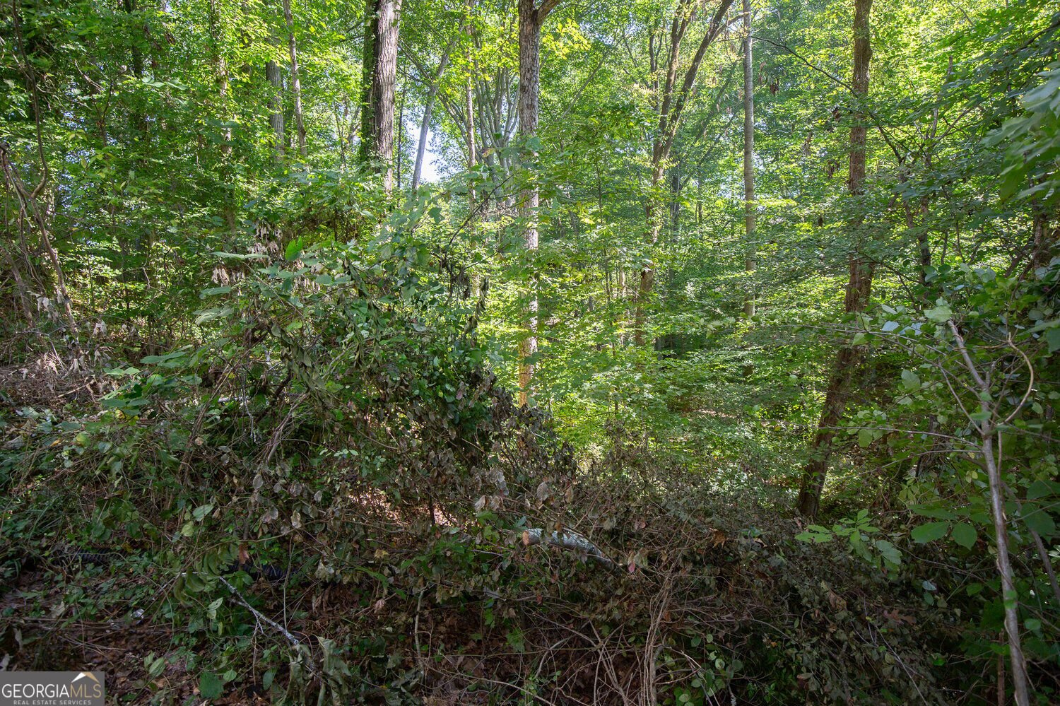 424 Spring Falls Drive Lawrenceville - Photo 32