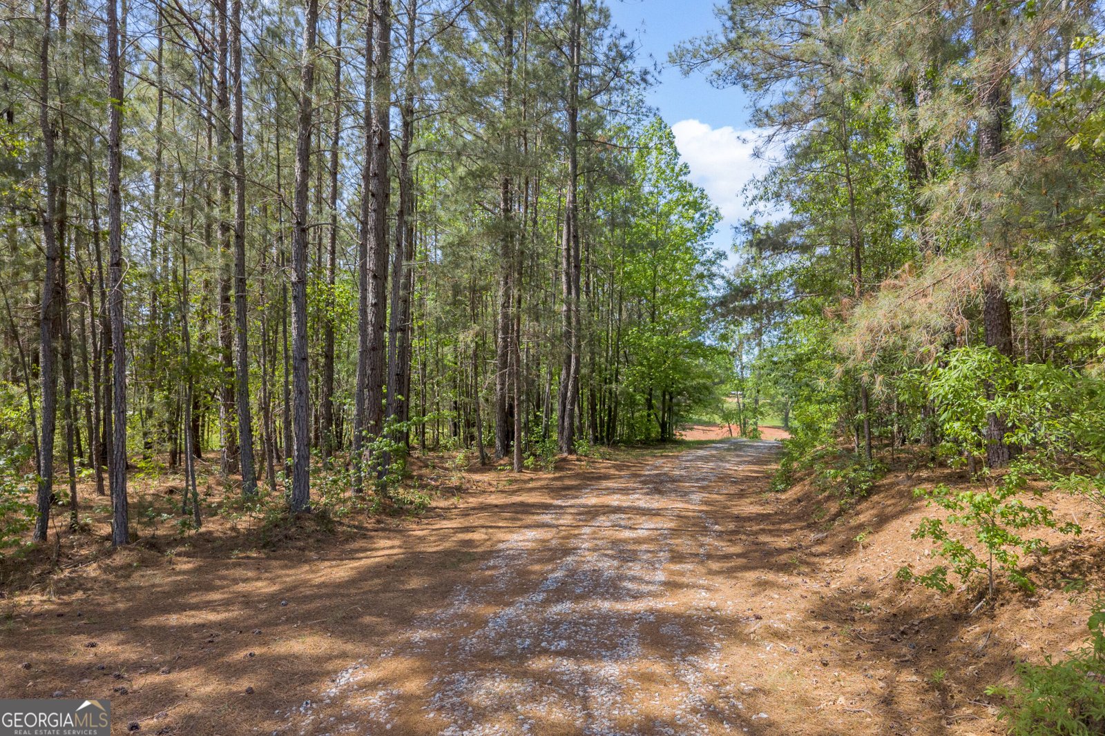 1894 Athens Rd Carnesville - Photo 41