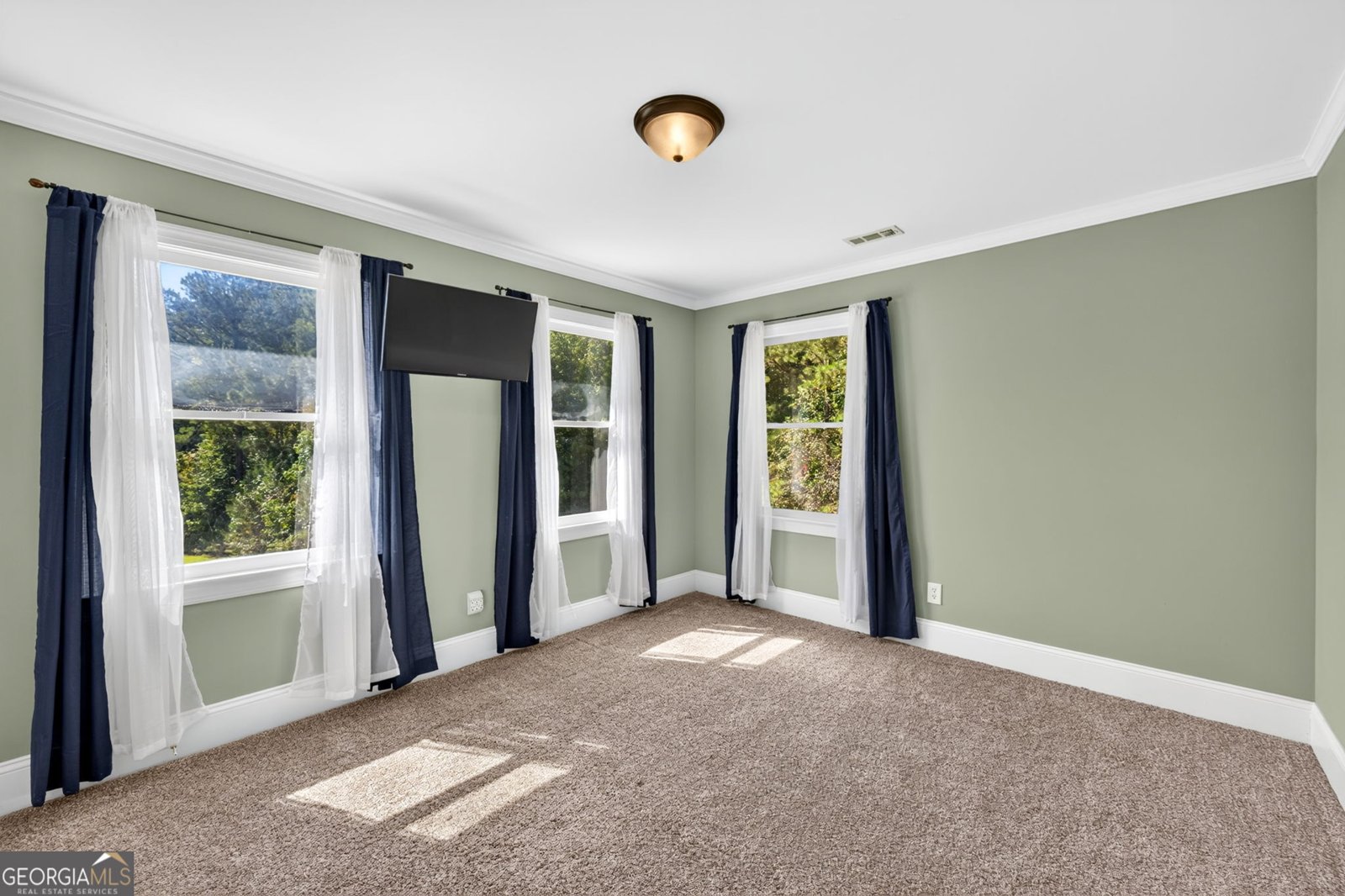5705 Gordon Road Senoia - Photo 48