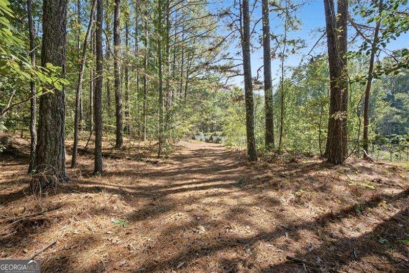 63 Wilderness Camp Road White - Photo 77