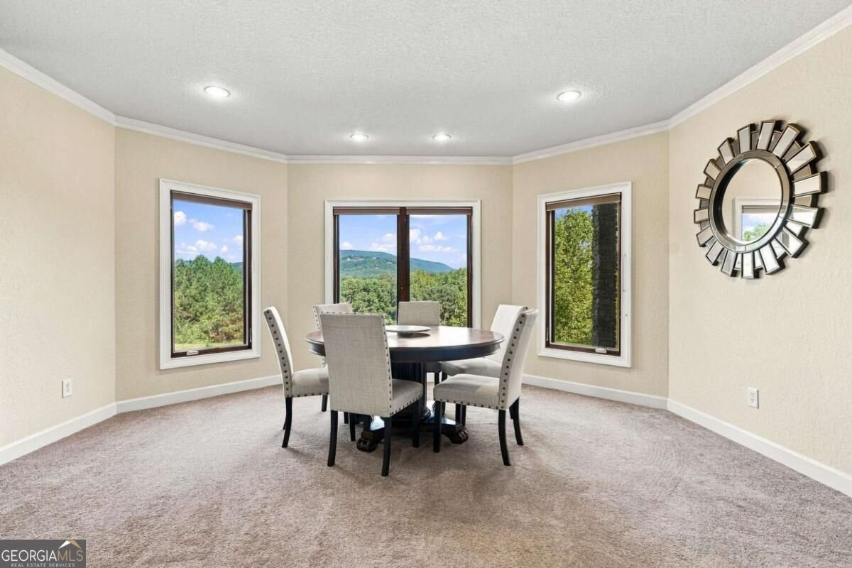 452 Ridgemont Drive Ellijay - Photo 39